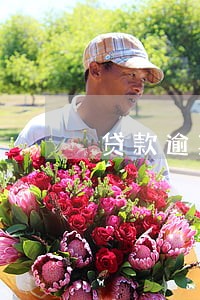 贷款逾期怎么查有没有被起诉