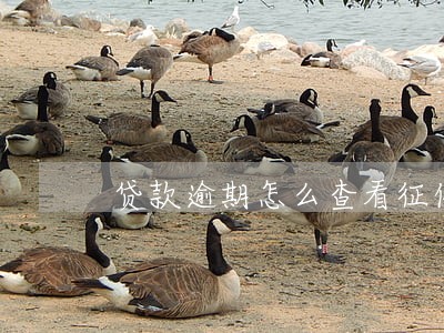 贷款逾期怎么查看征信报告 贷款逾期怎么查看征信报告
