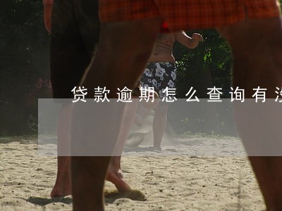 贷款逾期怎么查询有没有被起诉 贷款逾期怎么查询有没有被起诉