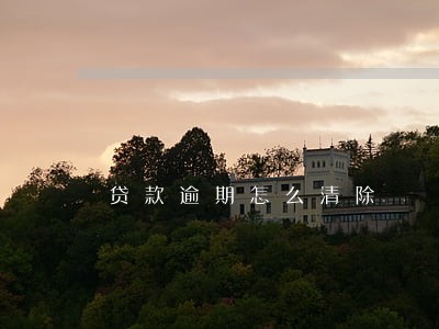 贷款逾期怎么清除