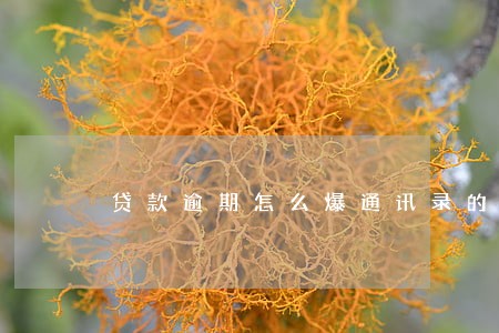 贷款逾期怎么爆通讯录的 贷款逾期怎么爆通讯录的