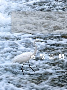 贷款逾期怎么申请 贷款逾期怎么申请