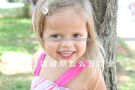 贷款逾期怎么算罚金 贷款逾期怎么算罚金