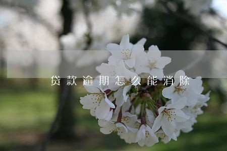 贷款逾期怎么能消除
