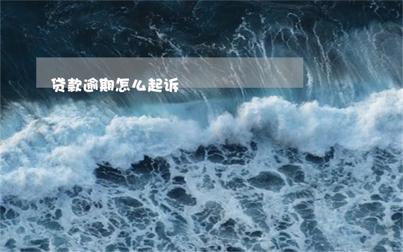贷款逾期怎么起诉 贷款逾期怎么起诉