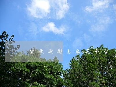 贷款逾期怎么还本金 贷款逾期怎么还本金