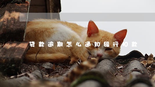 贷款逾期怎么通知银行扣款 贷款逾期怎么通知银行扣款