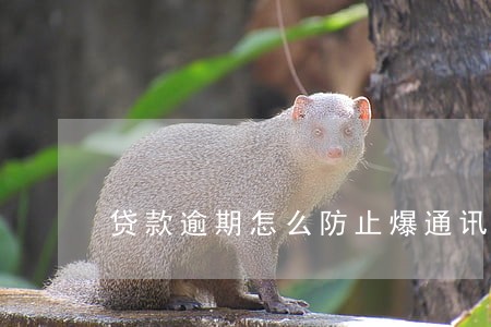 贷款逾期怎么防止爆通讯录 贷款逾期怎么防止爆通讯录