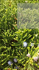 贷款逾期怎样催收 贷款逾期怎样催收