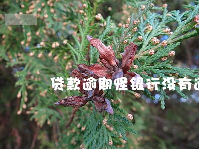 贷款逾期怪银行没有通知 贷款逾期怪银行没有通知