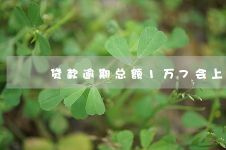 贷款逾期总额1万7会上门催收吗