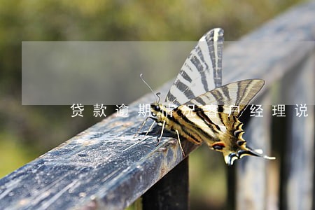 贷款逾期情况客户经理说明书 贷款逾期情况客户经理说明书