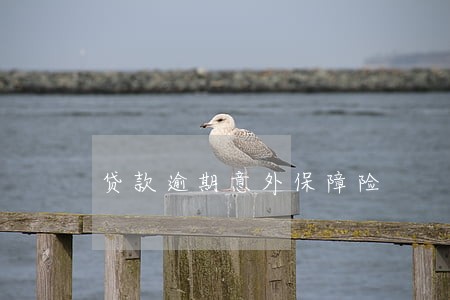 贷款逾期意外保障险 贷款逾期意外保障险