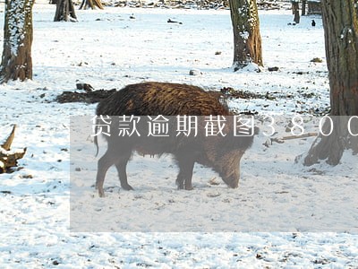 贷款逾期截图3800元 贷款逾期截图3800元