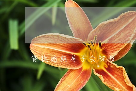 贷款逾期房子会被收 贷款逾期房子会被收