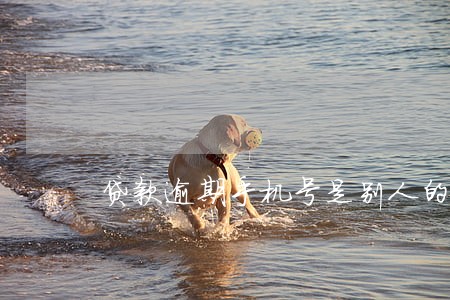 贷款逾期手机号是别人的 贷款逾期手机号是别人的