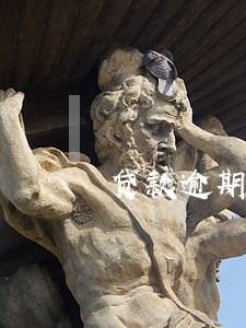 贷款逾期执行和强制执行