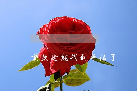 贷款逾期找到单位了 贷款逾期找到单位了