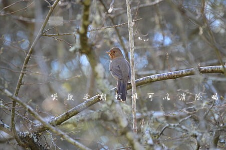 贷款逾期找谁可以消除吗 贷款逾期找谁可以消除吗