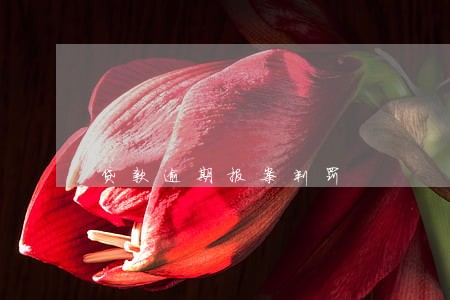 贷款逾期报案判罚 贷款逾期报案判罚