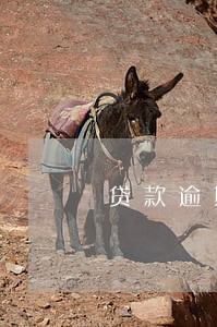 贷款逾期报警 贷款逾期报警