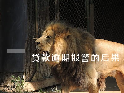 贷款逾期报警的后果 贷款逾期报警的后果