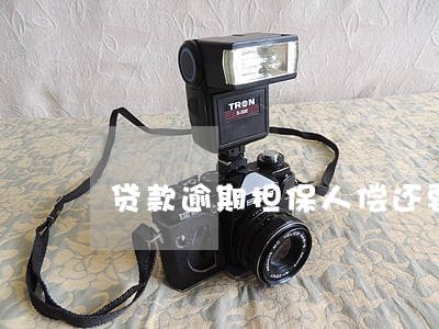 贷款逾期担保人偿还要起诉