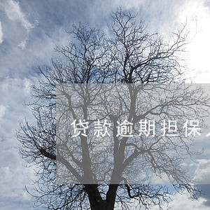 贷款逾期担保人影响征信么 贷款逾期担保人影响征信么