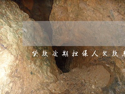 贷款逾期担保人欠款怎么还 贷款逾期担保人欠款怎么还