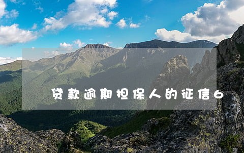 贷款逾期担保人的征信6 贷款逾期担保人的征信6