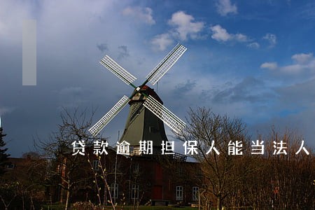 贷款逾期担保人能当法人吗 贷款逾期担保人能当法人吗