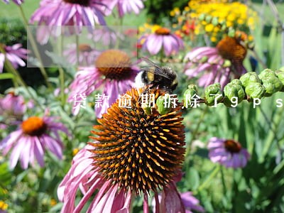 贷款逾期拆除了gps 贷款逾期拆除了gps