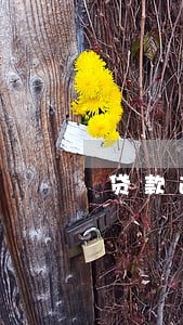 贷款逾期拍卖委托书 贷款逾期拍卖委托书