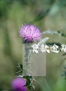 贷款逾期拍卖款剩余 贷款逾期拍卖款剩余
