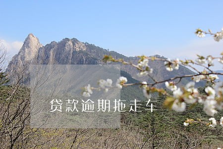 贷款逾期拖走车 贷款逾期拖走车