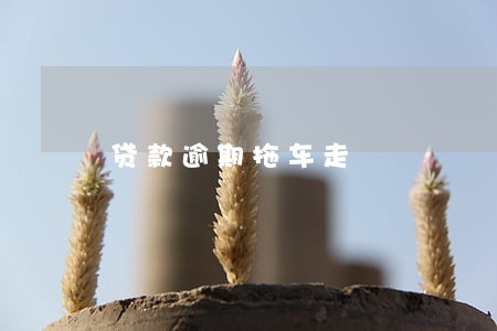 贷款逾期拖车走 贷款逾期拖车走