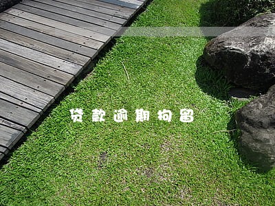 贷款逾期拘留 贷款逾期拘留