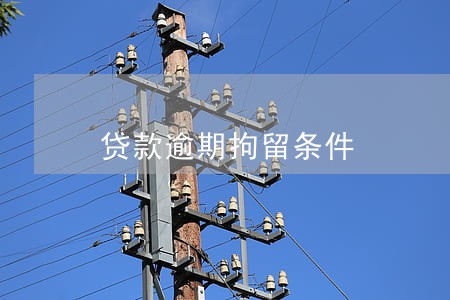 贷款逾期拘留条件 贷款逾期拘留条件