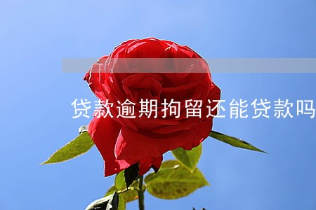 贷款逾期拘留还能贷款吗 贷款逾期拘留还能贷款吗