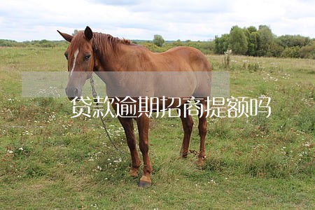 贷款逾期招商提额吗 贷款逾期招商提额吗
