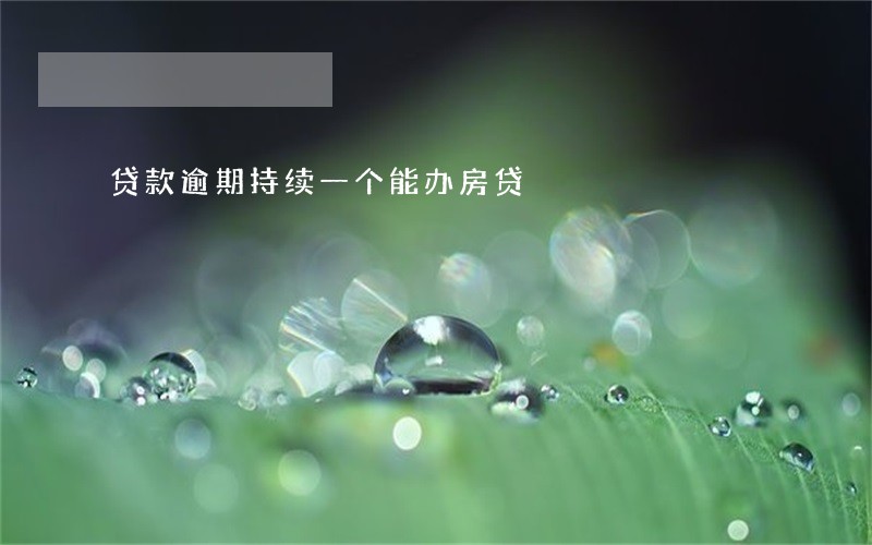 贷款逾期持续一个能办房贷 贷款逾期持续一个能办房贷