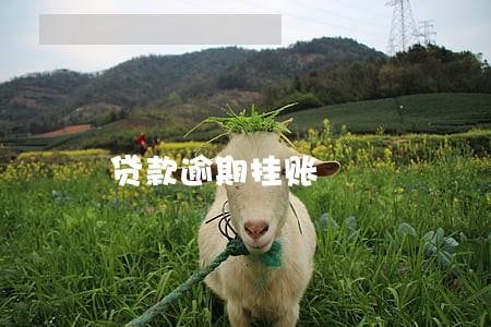 贷款逾期挂账 贷款逾期挂账