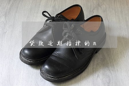 贷款逾期指标的m 贷款逾期指标的m