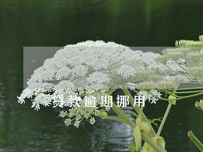 贷款逾期挪用 贷款逾期挪用