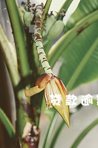 贷款逾期换地方 贷款逾期换地方