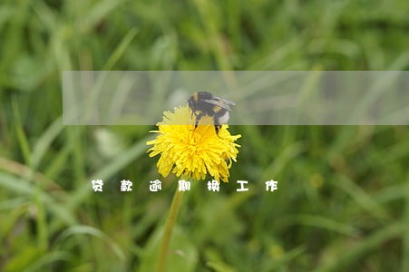 贷款逾期换工作 贷款逾期换工作