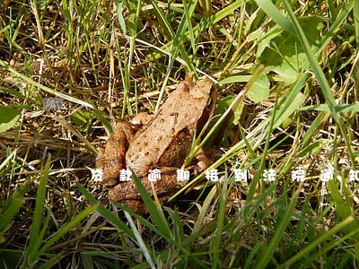 贷款逾期接到法院通知 贷款逾期接到法院通知