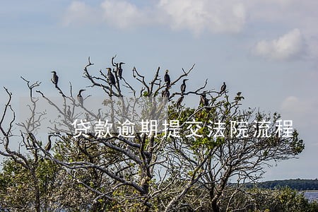 贷款逾期提交法院流程 贷款逾期提交法院流程
