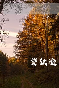 贷款逾期收催收工本费 贷款逾期收催收工本费