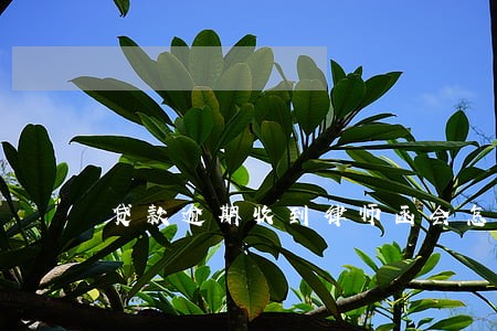 贷款逾期收到律师函会怎样 贷款逾期收到律师函会怎样